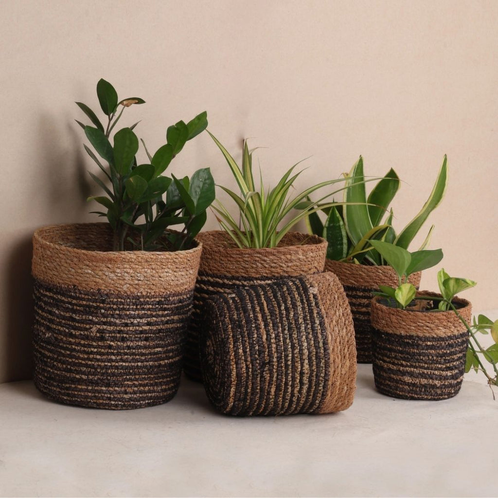 Quintet Basket Planters (5Pcs)
