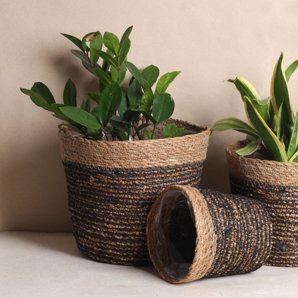 Trio Seagrass Basket Planters (3Pcs)
