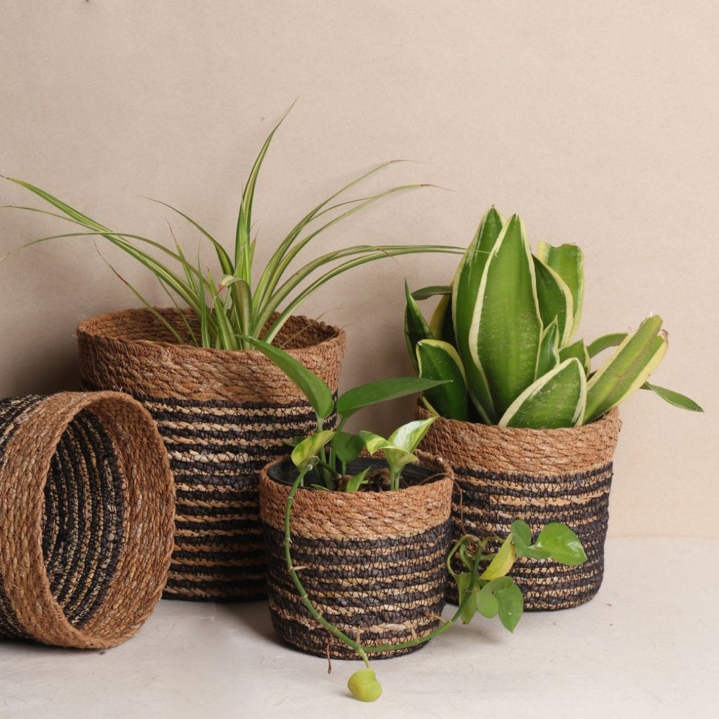 Quintet Basket Planters (5Pcs)