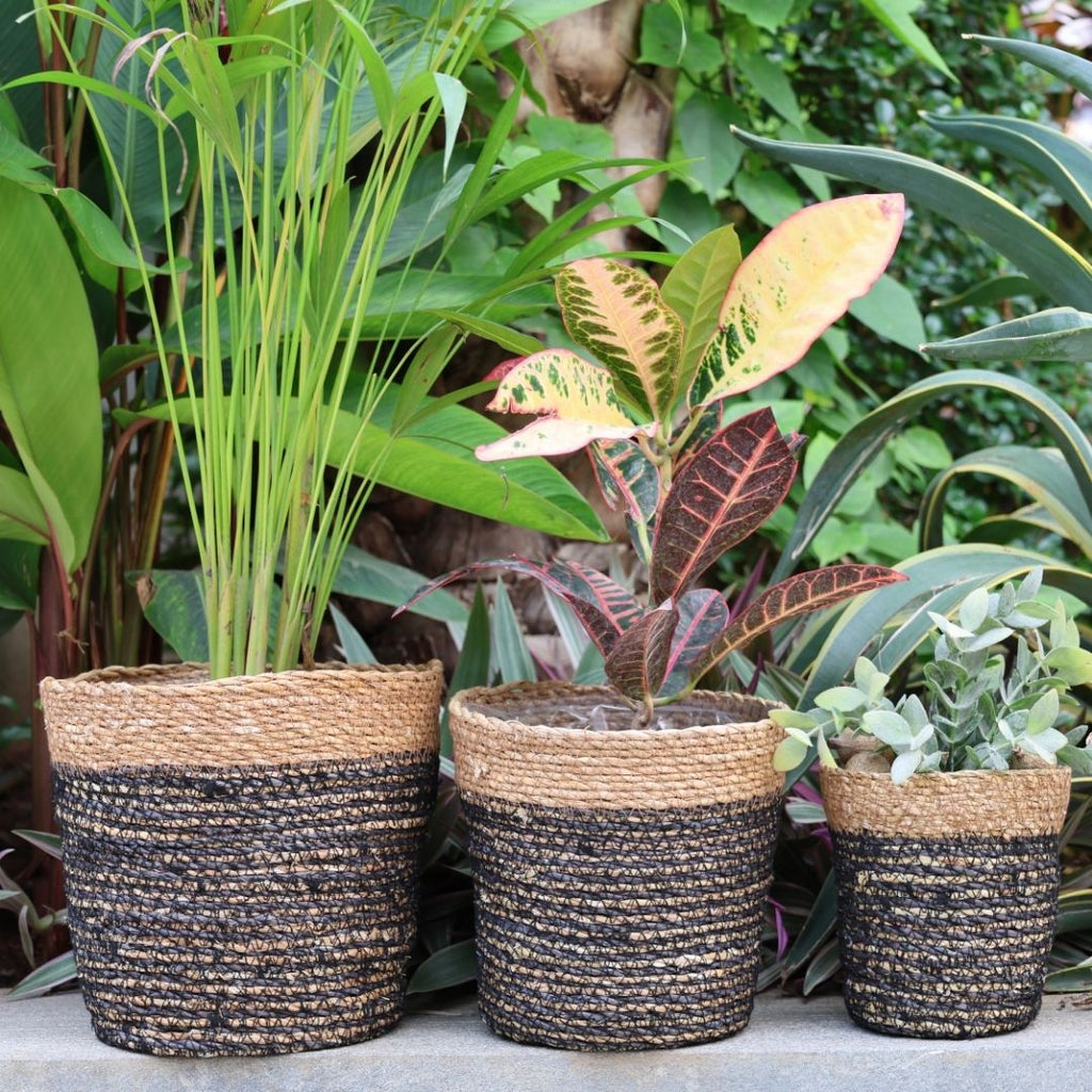 Trio Seagrass Basket Planters (3Pcs)