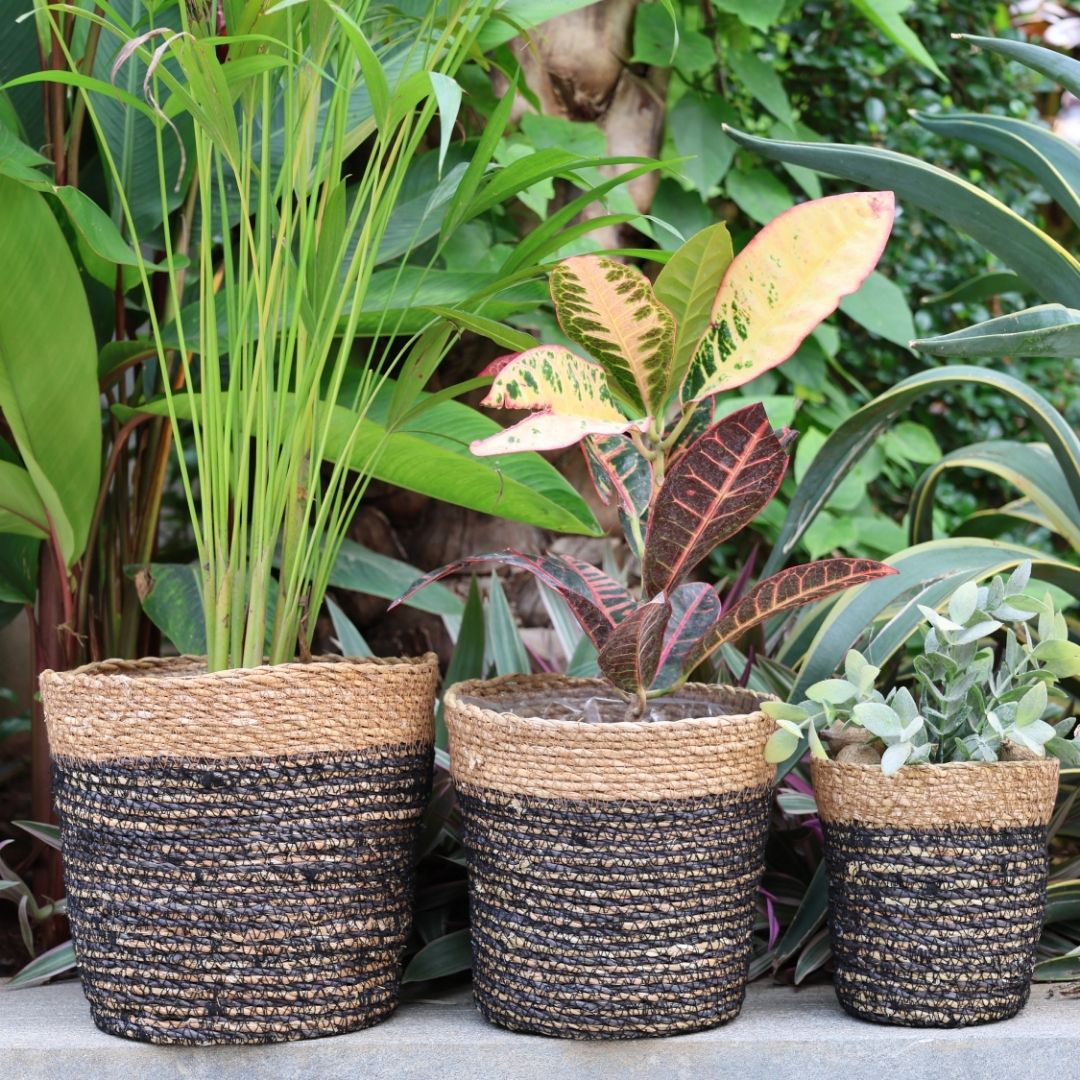 Trio Seagrass Basket Planters (3Pcs)