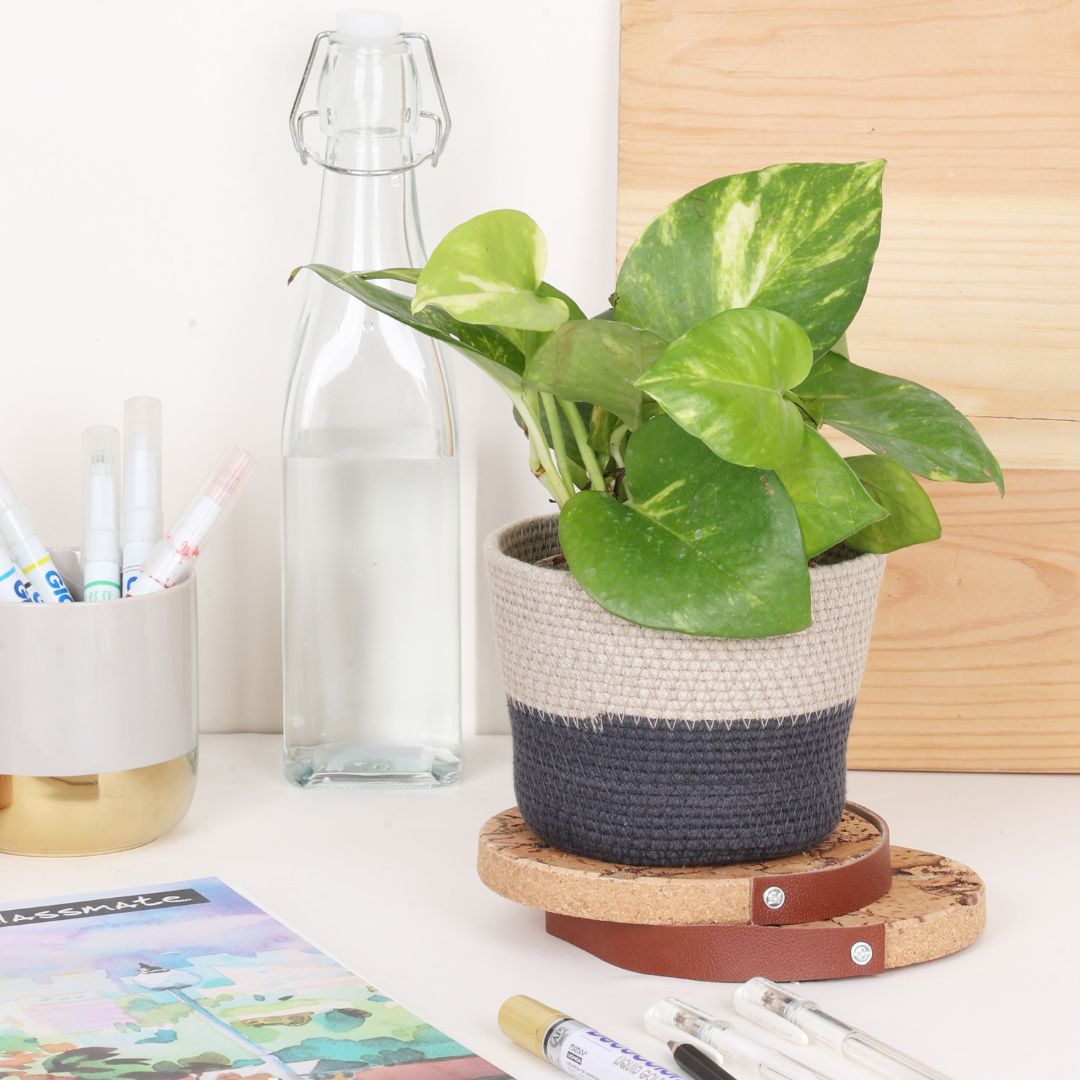 Table Planter - Light Grey & Dark Grey (Conical)