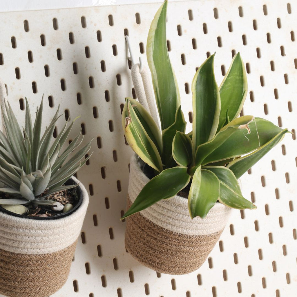 Hanging Planter - Cream & Natural (Small, Pack of 2)