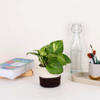 Table Planter - Mocha & Cream (Round)