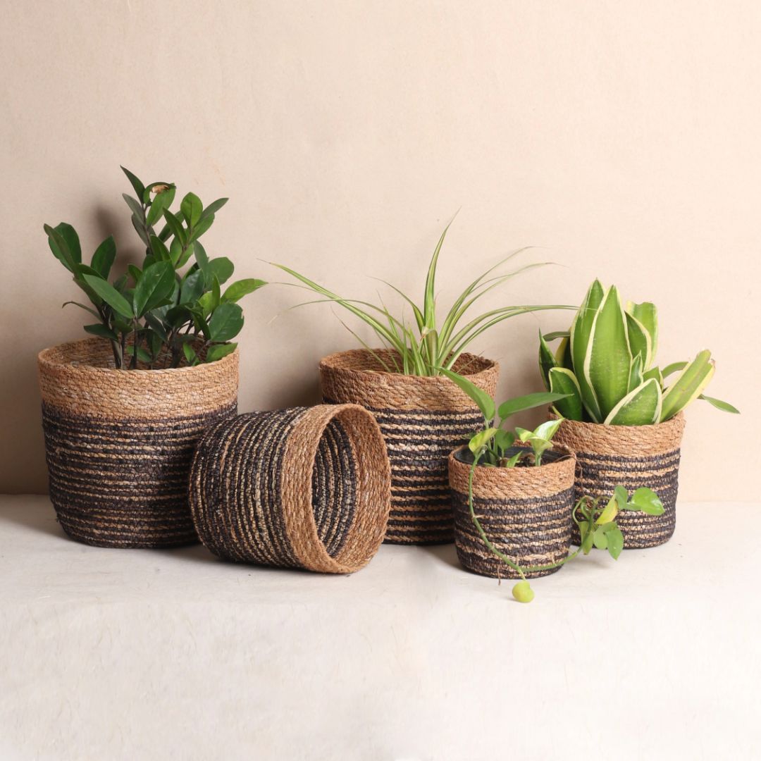 Quintet basket planters (5Pcs)