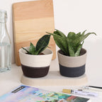 Table Planter - Light Grey & Dark Grey (Conical)