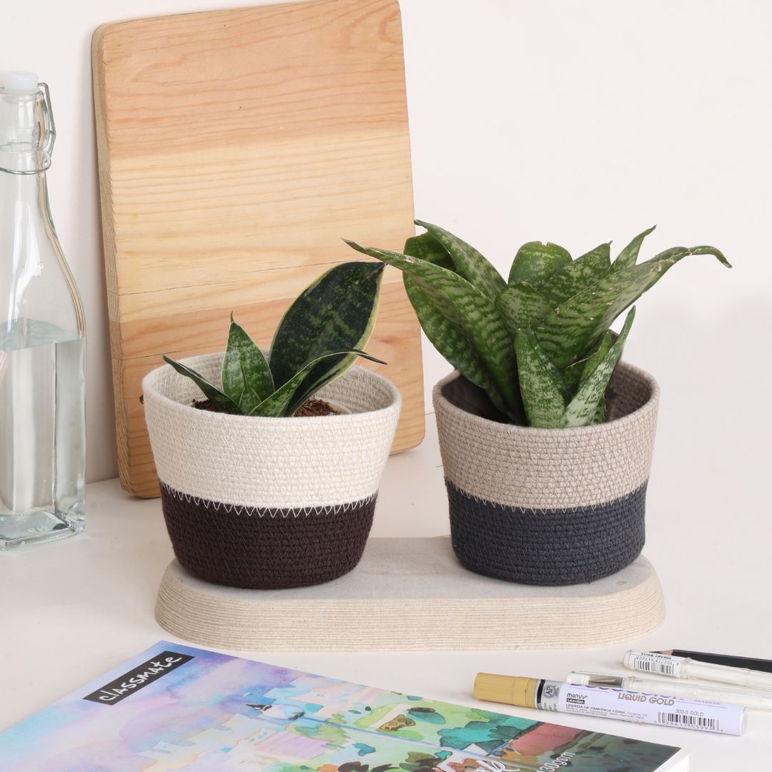 Table Planter - Light Grey & Dark Grey (Conical)