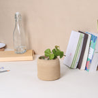 Table Planter - Beige (Top Tapper)