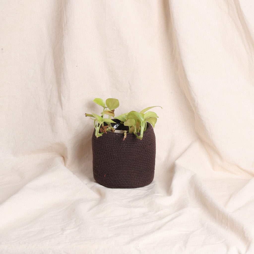Table Planter - Mocha (Top Tapper)
