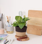 Table Planter - Mocha & Beige (Conical)