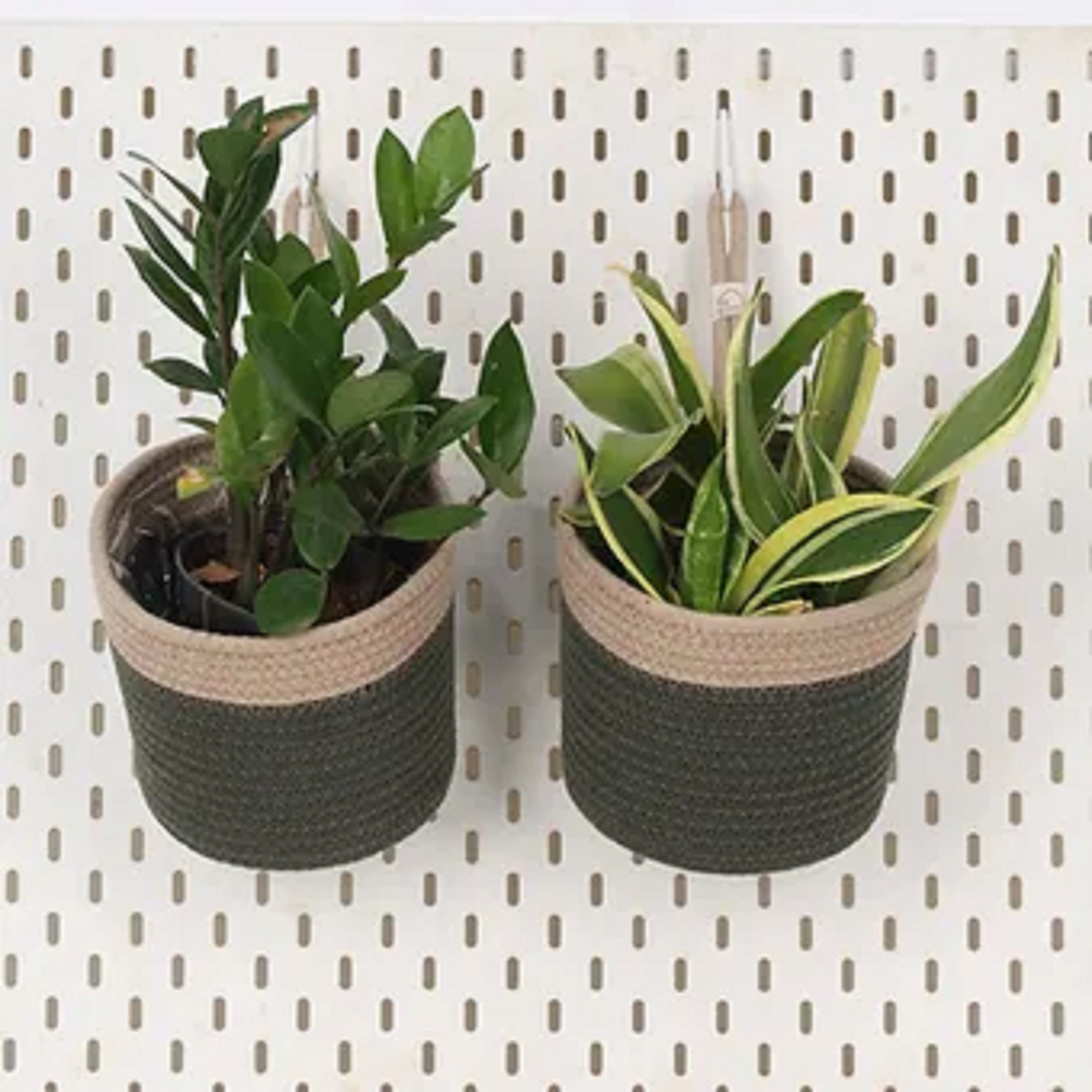Hanging Planter - Olive & Grey (Medium, Pack of 2)