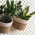 Hanging Planter - Cream & Natural (Medium)