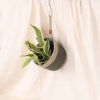 Hanging Planter - Olive & Grey (Big, Pack of 2)