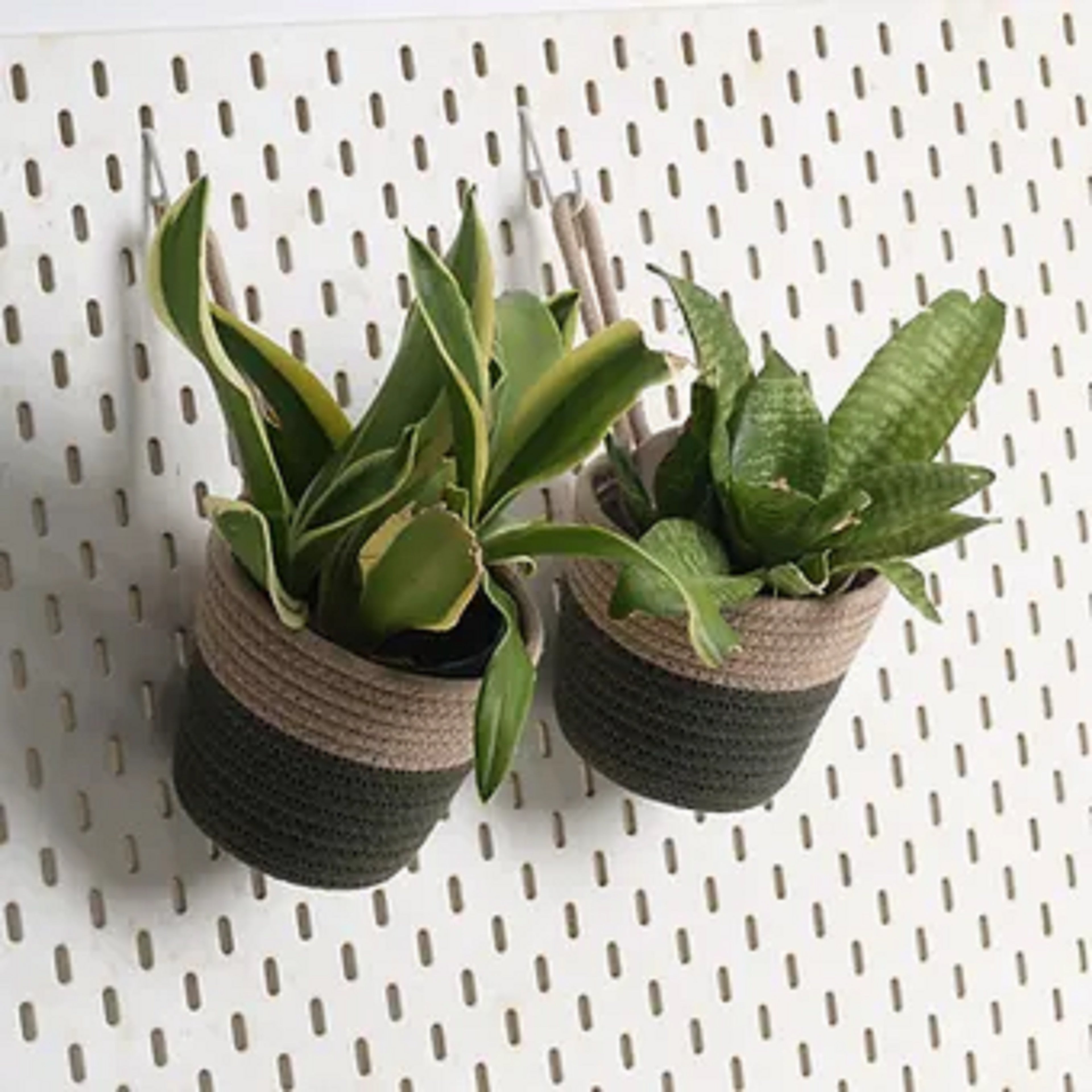 Hanging Planter - Olive & Grey (Small)