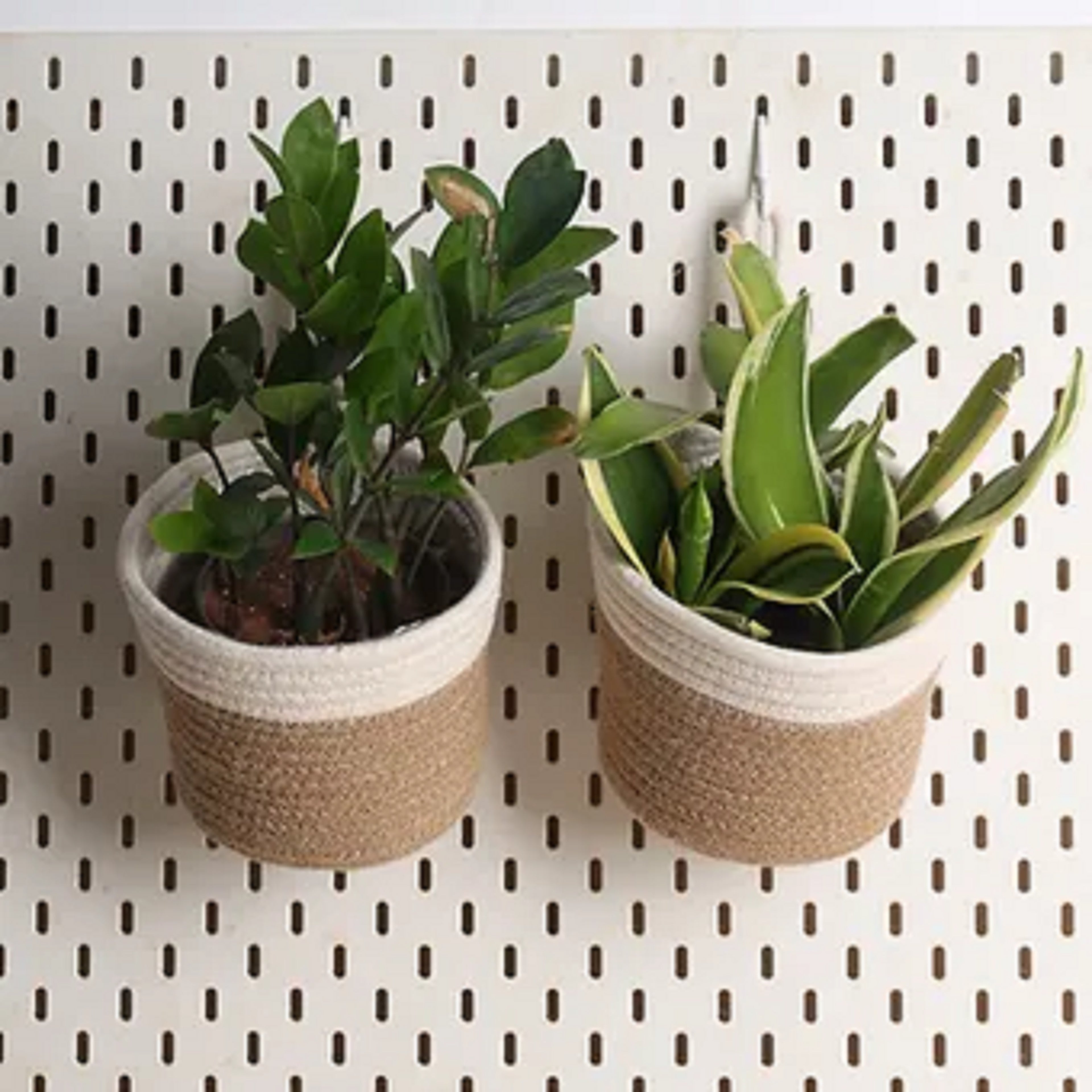 Hanging Planter - Cream & Natural (Medium)