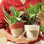 Hanging Planter - Cream & Natural (Small, Pack of 2)