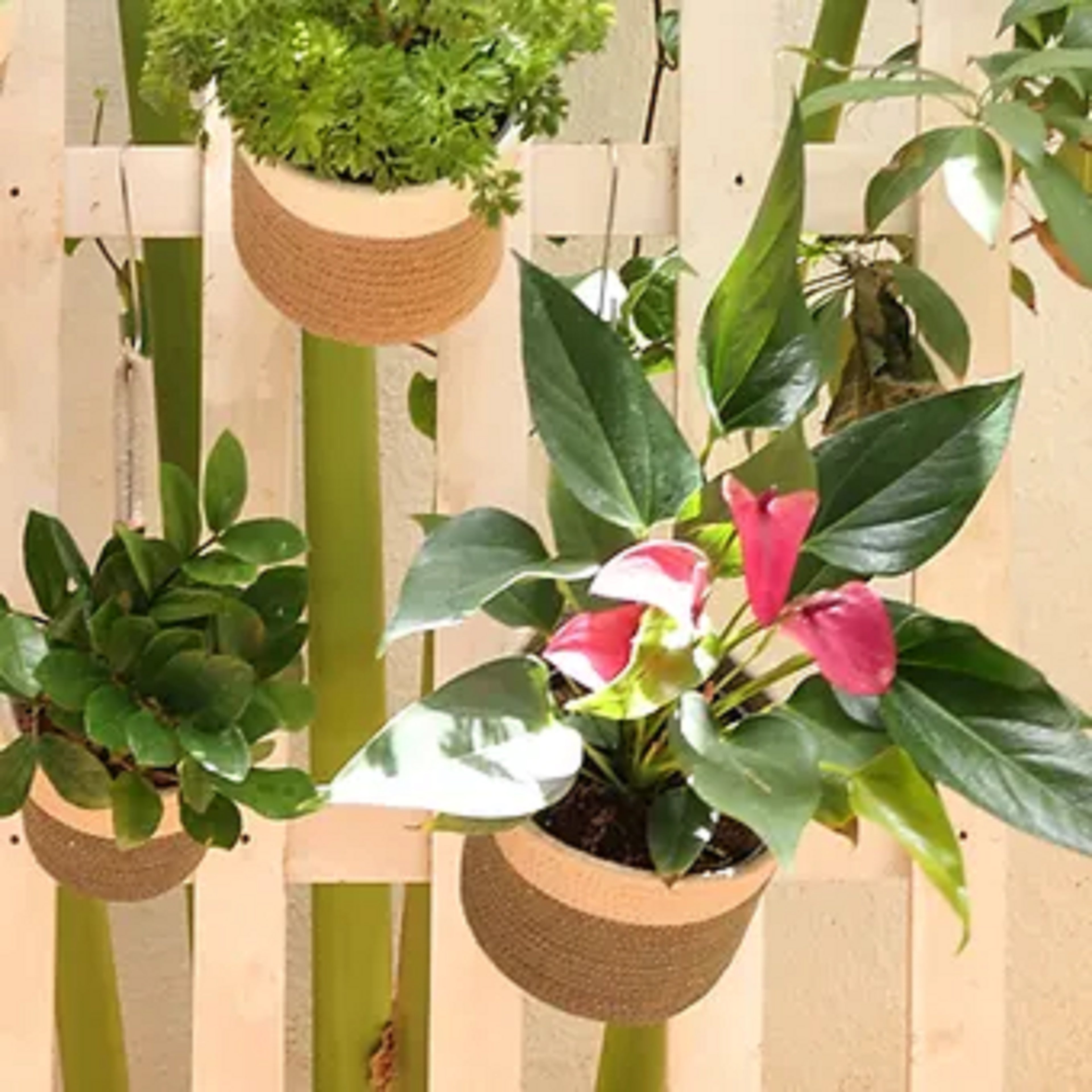 Hanging Planter - Olive & Grey (Medium, Pack of 2)