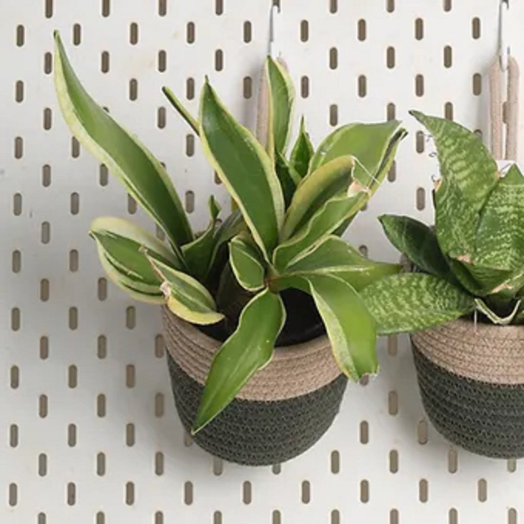 Hanging Planter - Olive & Grey (Small, Pack of 2)
