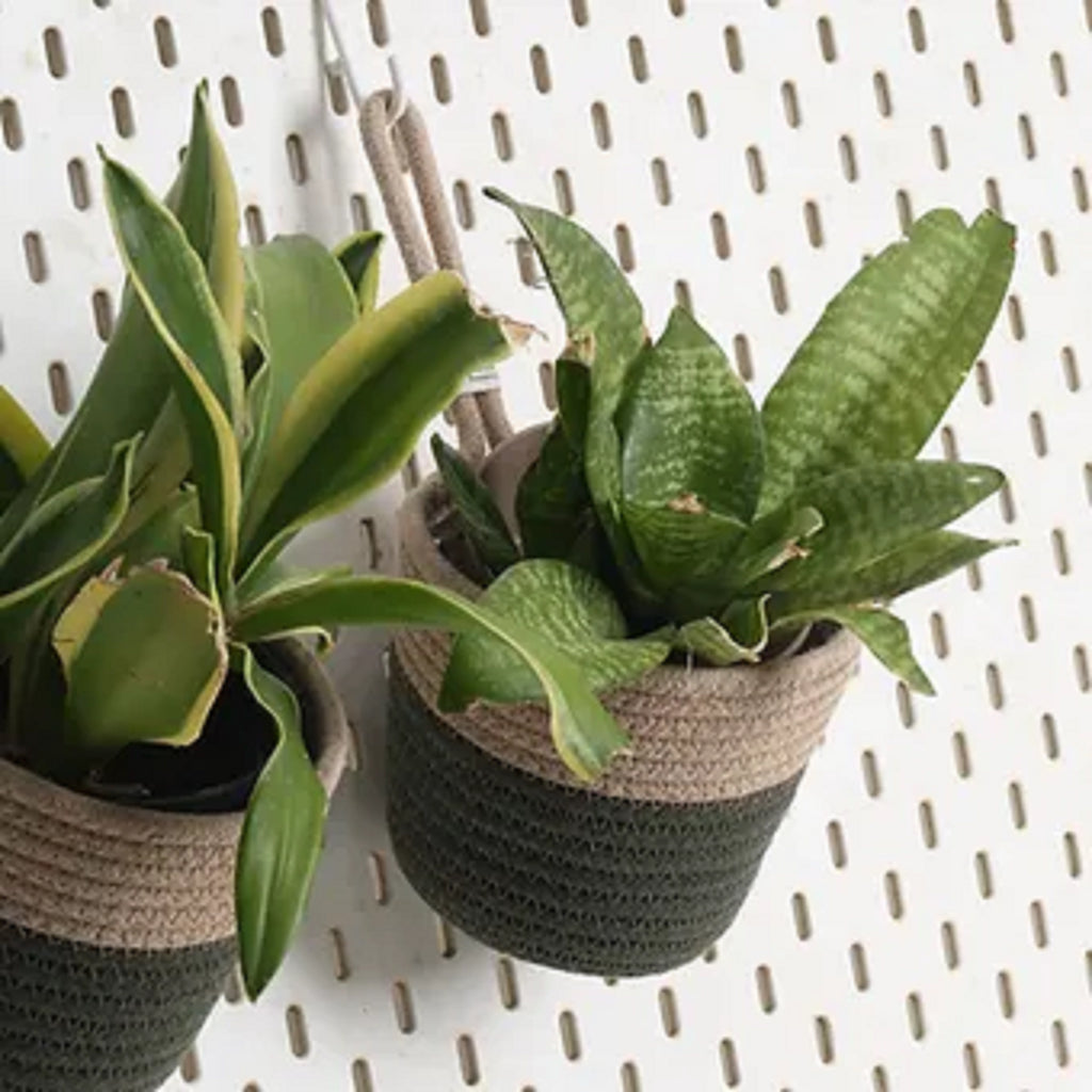 Hanging Planter - Olive & Grey (Small, Pack of 2)