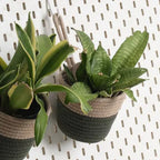 Hanging Planter - Olive & Grey (Small, Pack of 2)