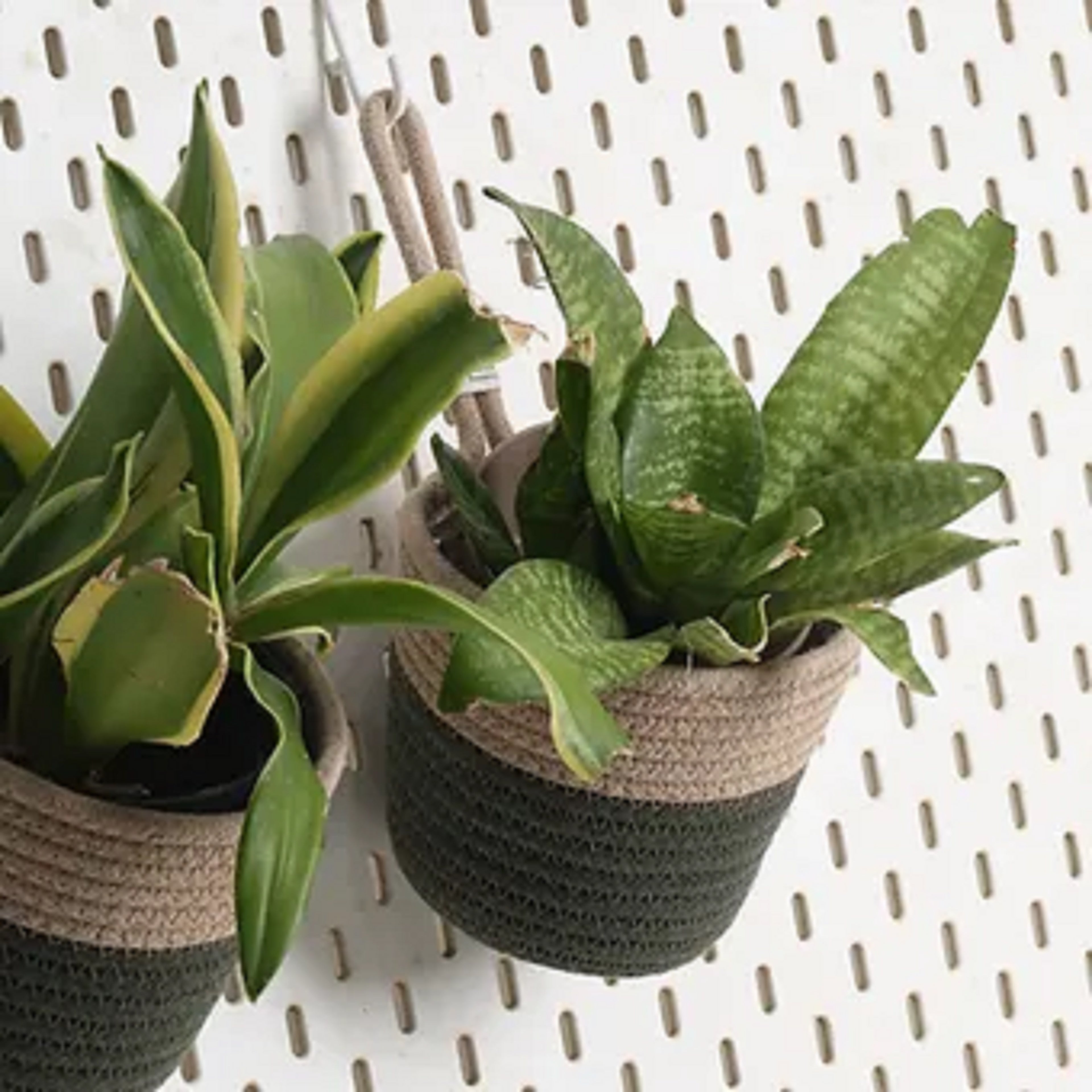 Hanging Planter - Olive & Grey (Small)