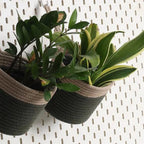 Hanging Planter - Olive & Grey (Big, Pack of 2)