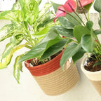 Hanging Planter - Rust & Natural (Medium)