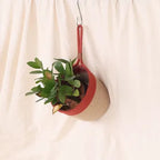 Hanging Planter - Rust & Natural (Medium)