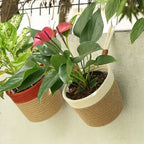Hanging Planter - Cream & Natural (Medium)