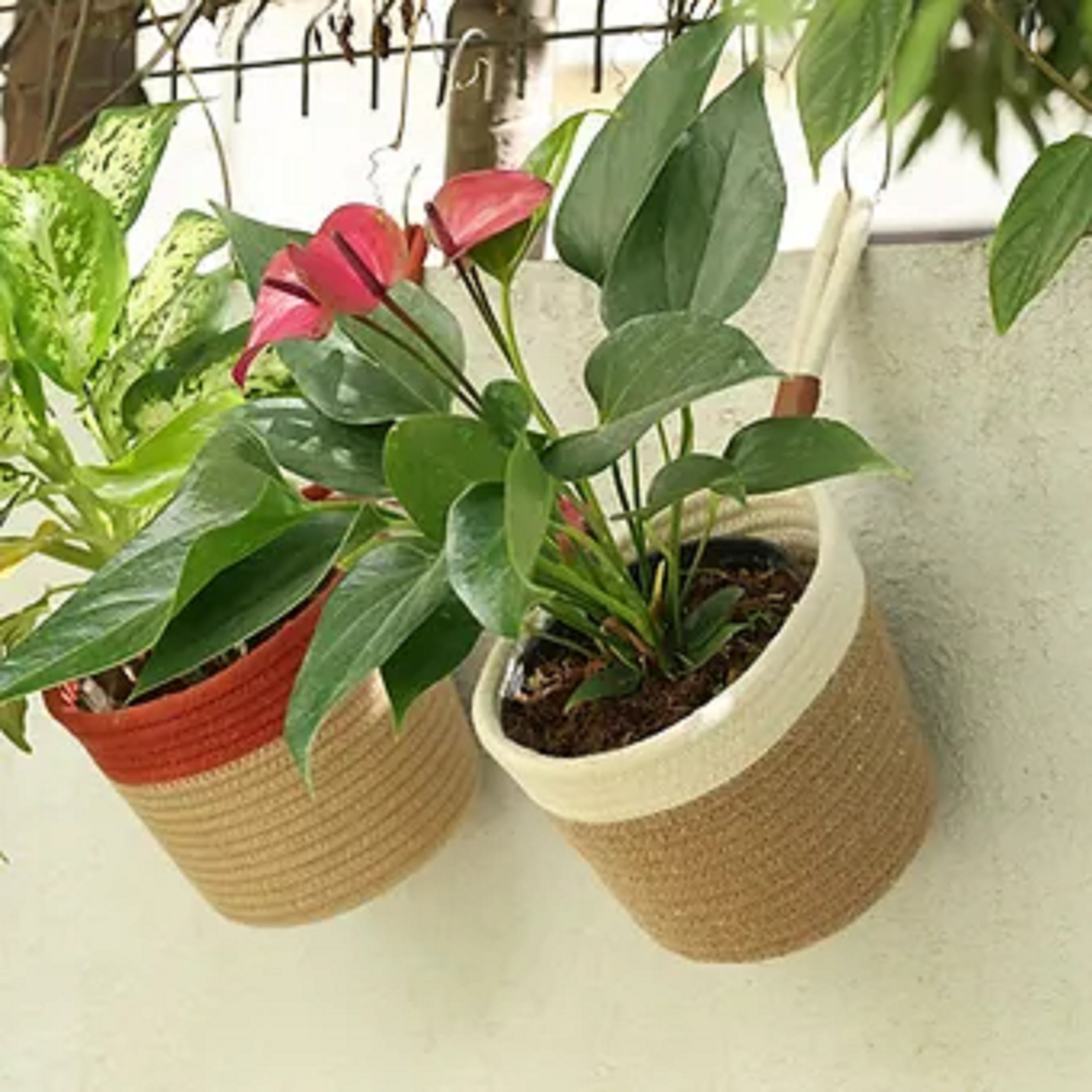 Hanging Planter - Cream & Natural (Medium)