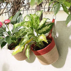 Hanging Planter - Rust & Natural (Medium)