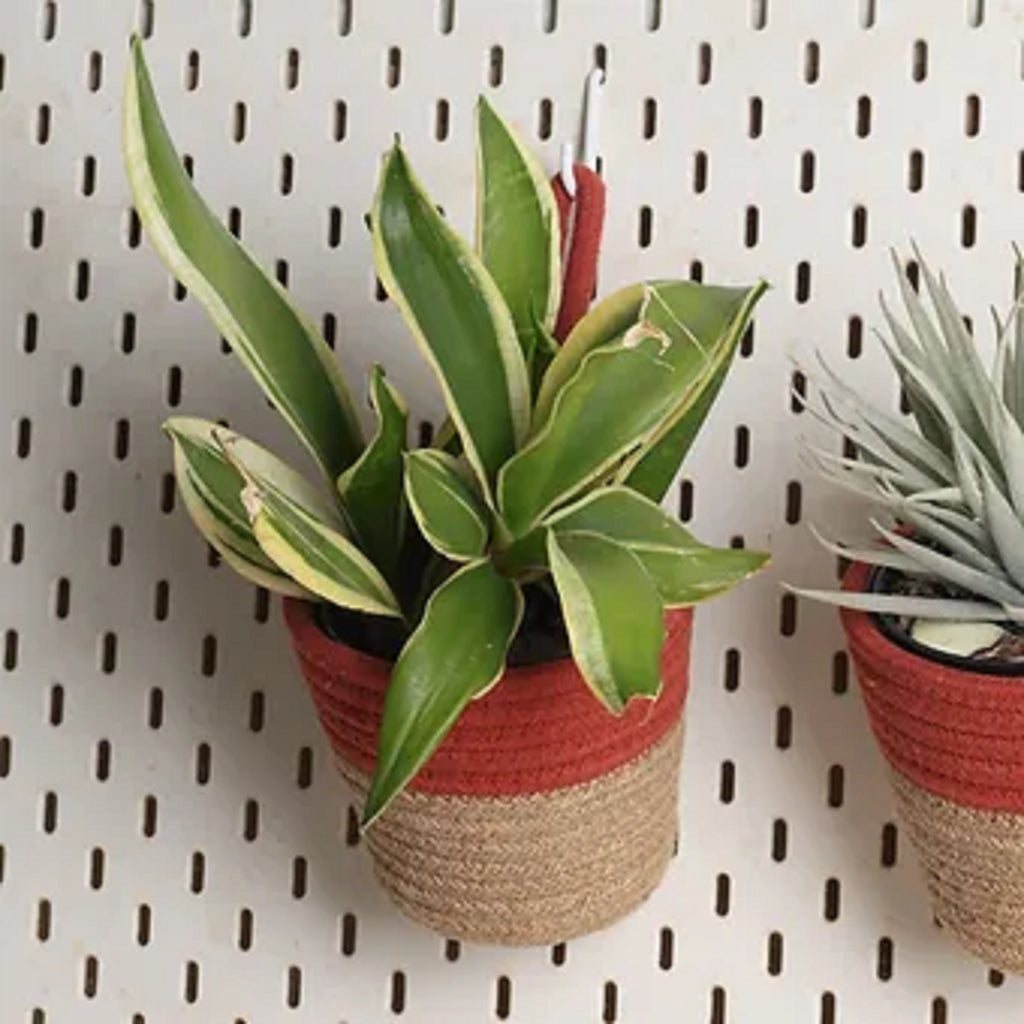 Hanging Planter - Rust & Natural (Small, Pack of 2)