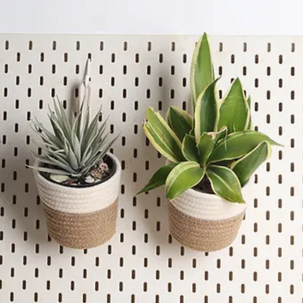 Hanging Planter - Cream & Natural (Small, Pack of 2)