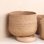 Round Base Planters (3Pcs)