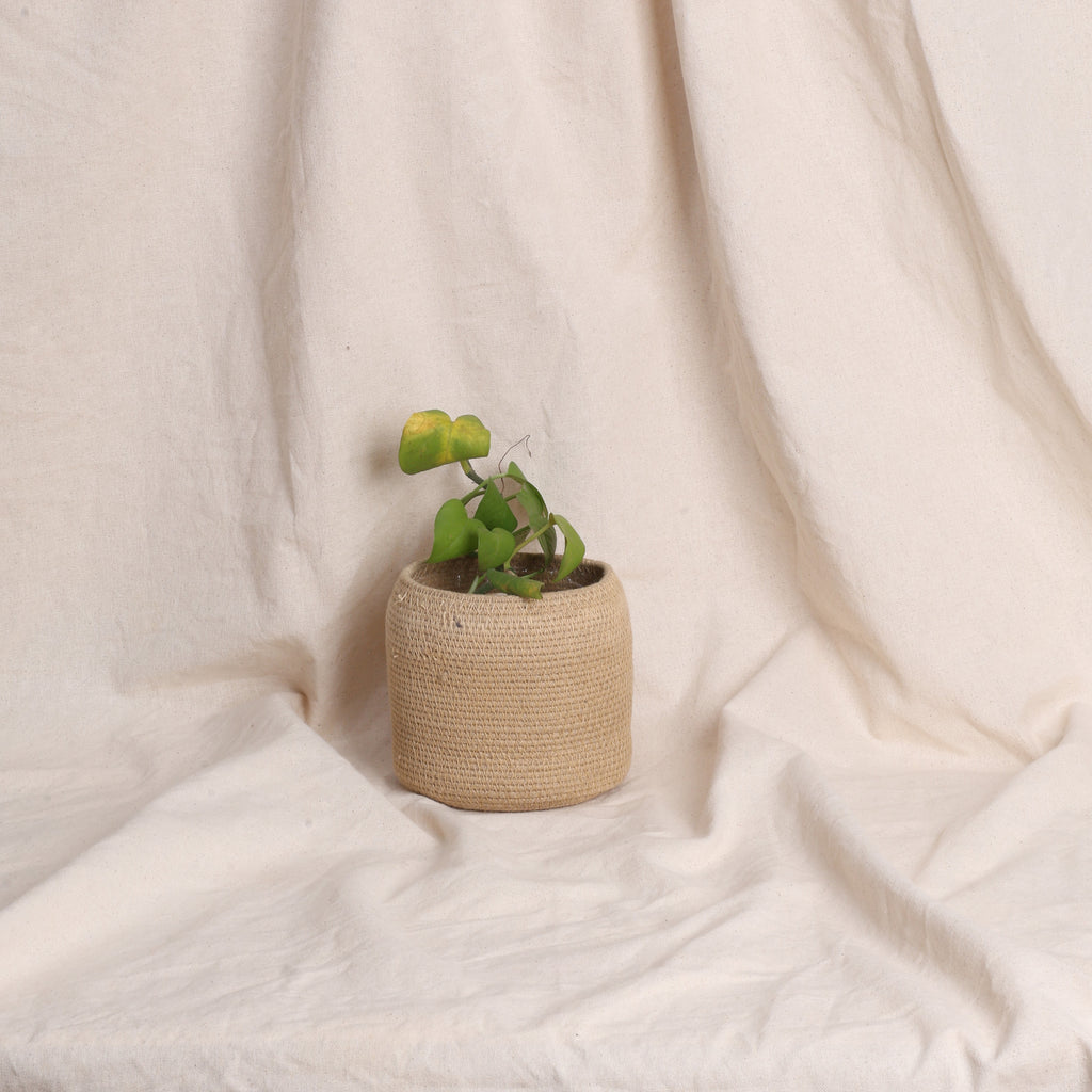 Table Planter - Beige (Top Tapper)