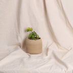 Table Planter - Beige (Top Tapper)