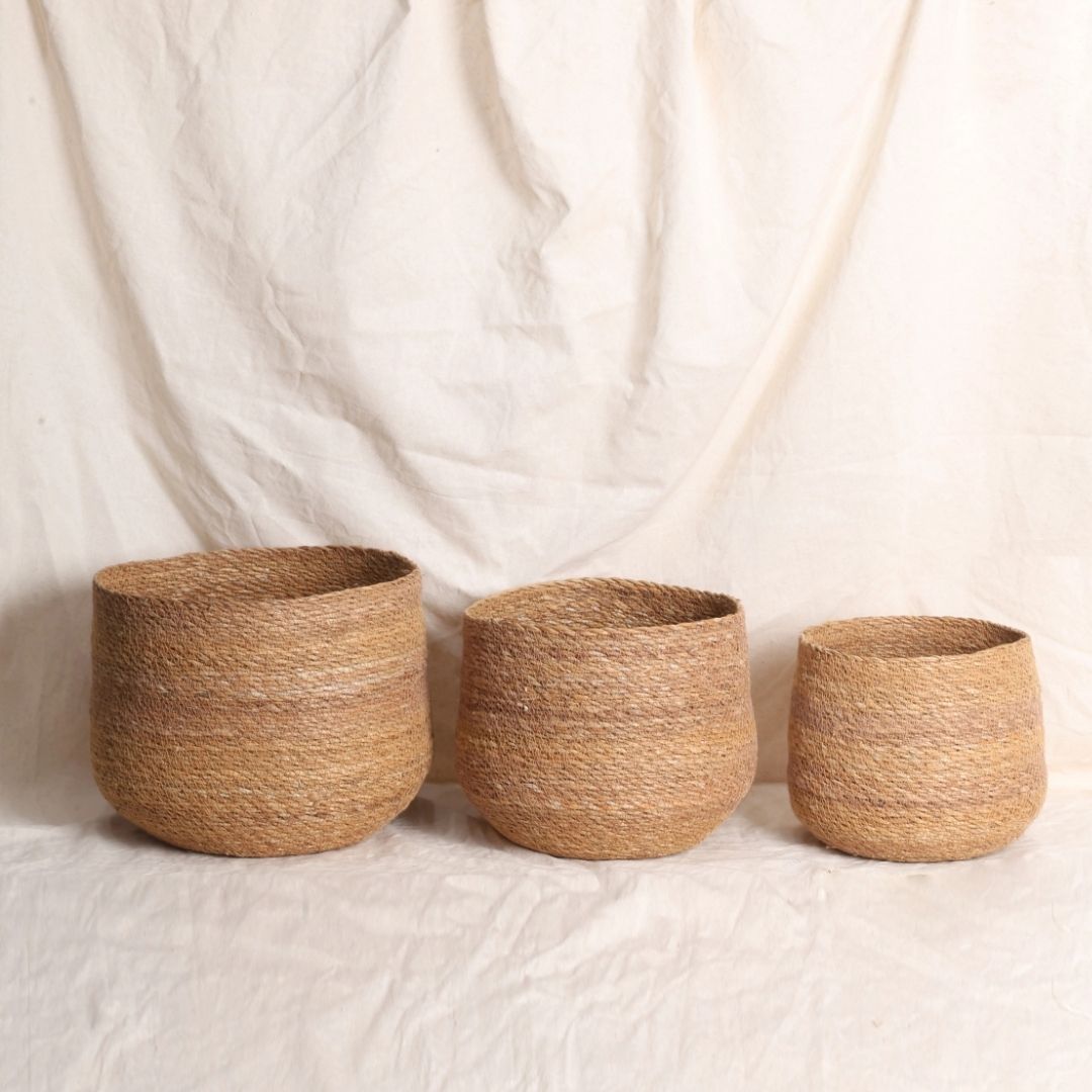 Round Base Planters (3Pcs)
