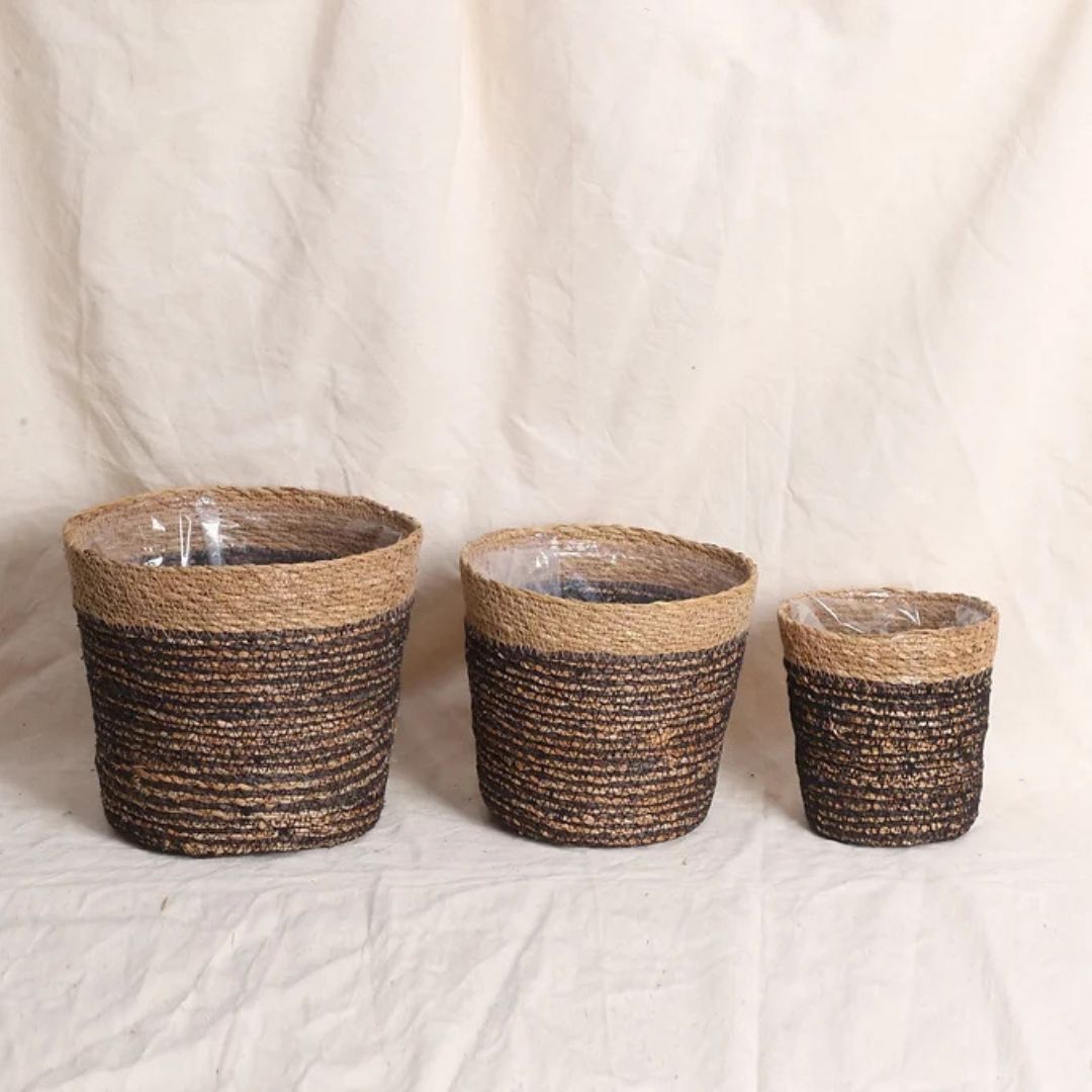 Trio Seagrass basket planters (Pack of 3)