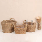 Carry Baskets (3Pcs)
