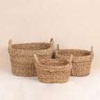 Carry Baskets (3Pcs)