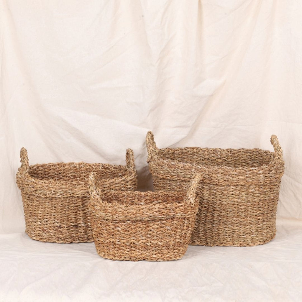 Carry Baskets (3Pcs)
