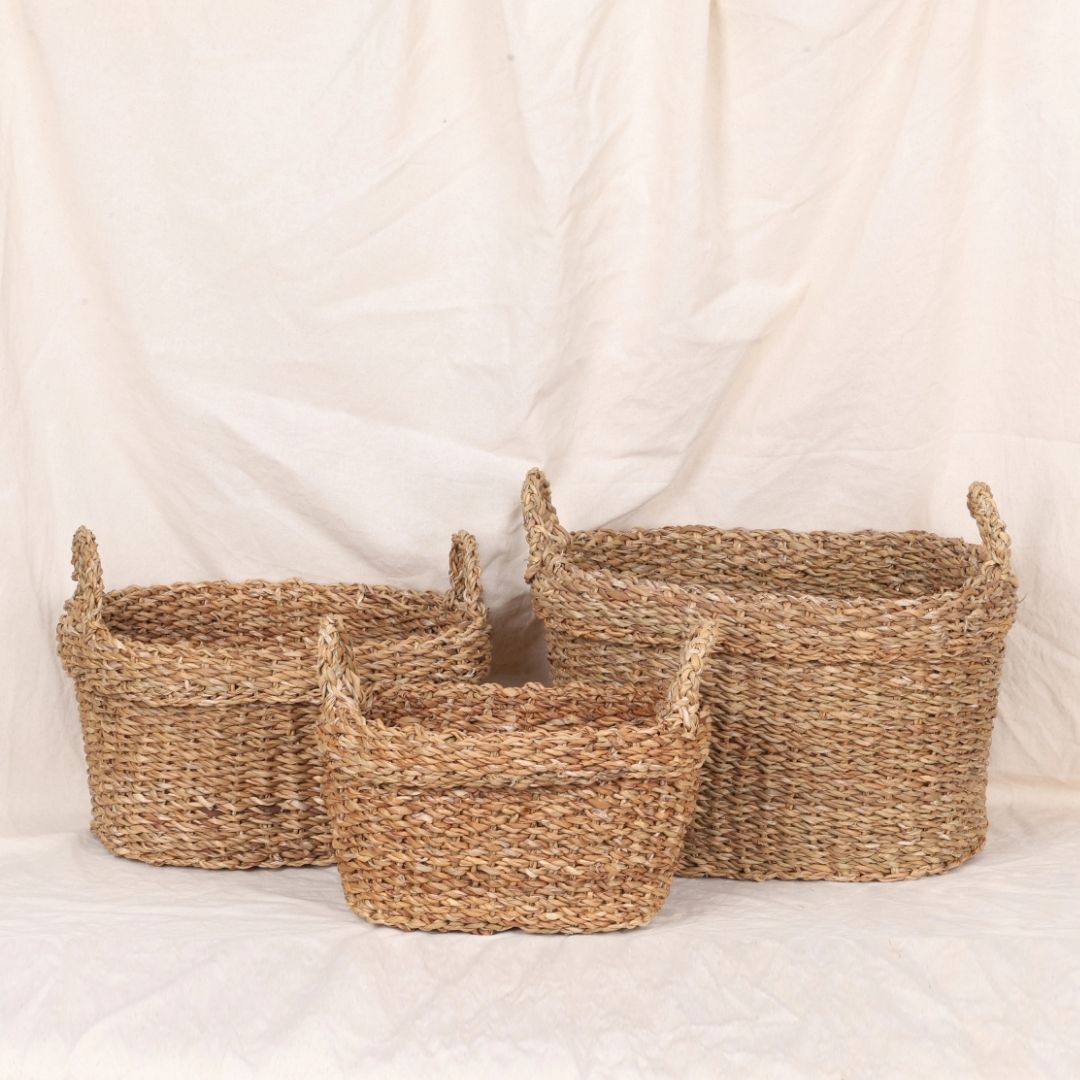 Carry Baskets (3Pcs)