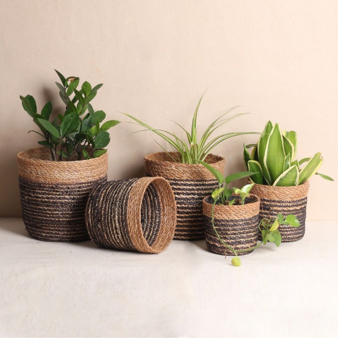 Quintet Basket Planters (5Pcs)