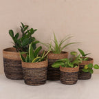 Quintet Basket Planters (5Pcs)